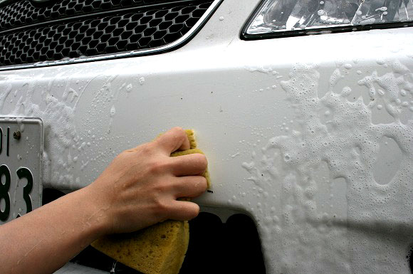 車の虫汚れの効果的な取り方と防止方法 放置すると塗装にダメージ 8割の人が知らない車の役立つ知識