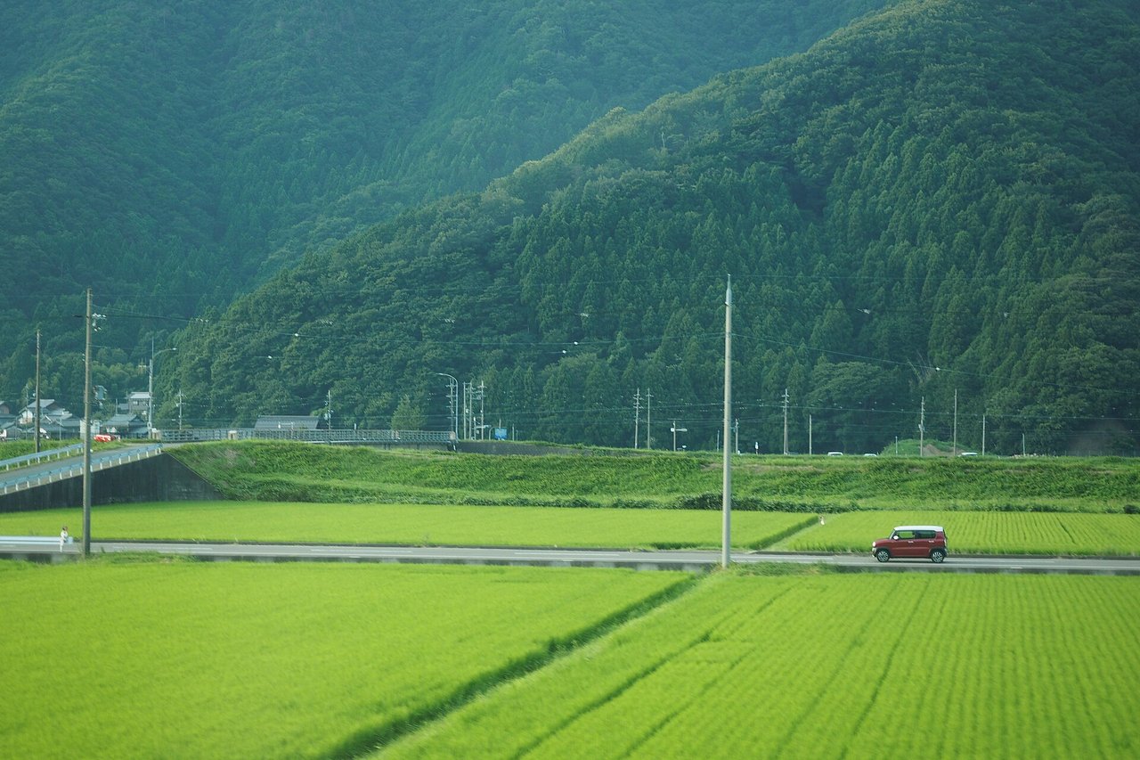 道路を走る車
